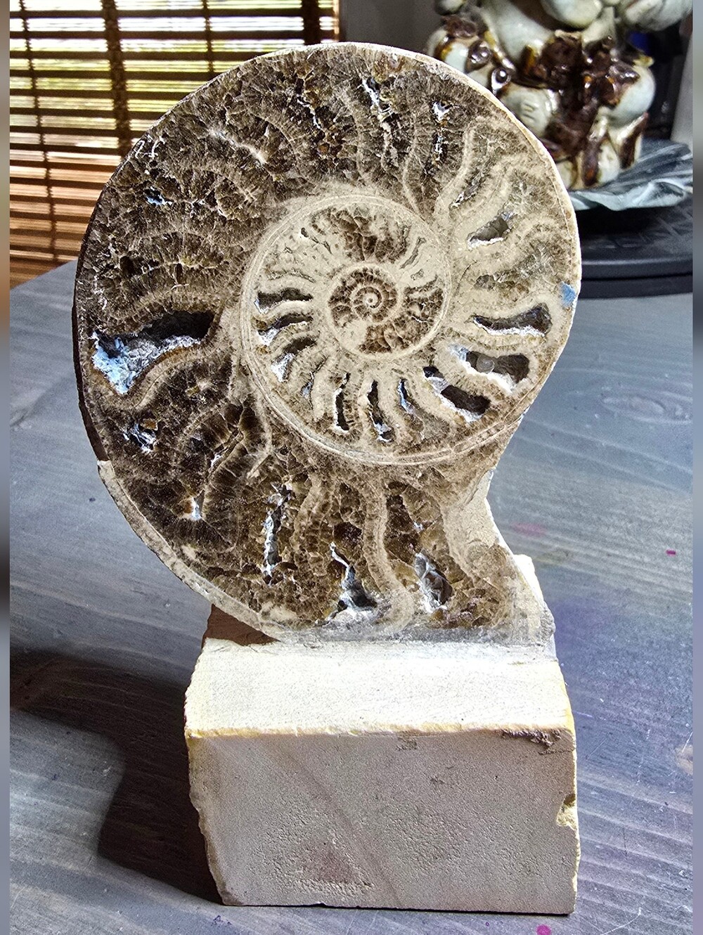 Fossil Ammonite Decorative Sculpture